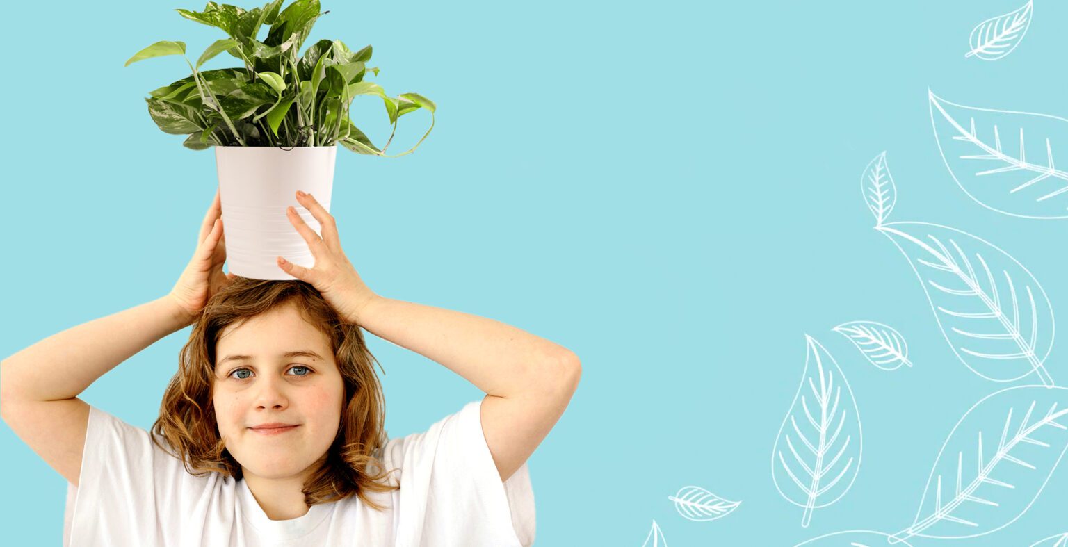 Young girl in white t-shirt holds a plant in a white vase with green plant in it. Blue background